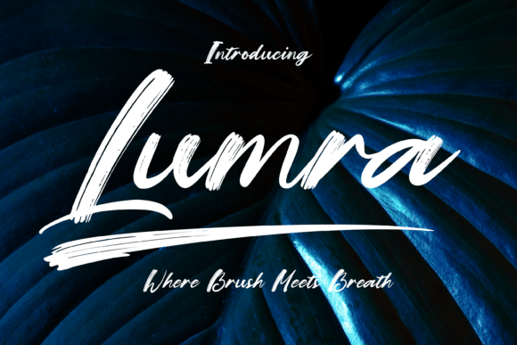 Lumra: The Expressive Script Font for Handmade Brands