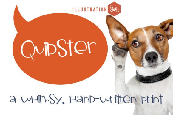 Quidster: A Designer's Honest Review for Real Projects