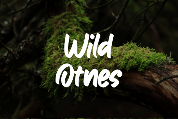 Wild Otnes: A Versatile Script Amp Typeface for Modern Branding